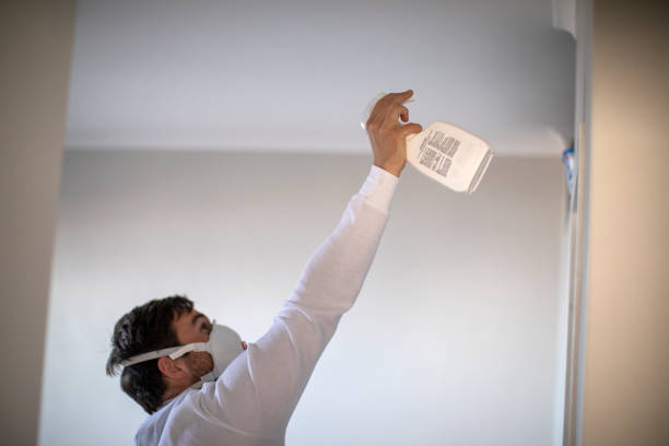 Best Mold Removal Near Me  in El Campo, TX