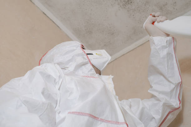 Crawl Space Mold Removal in El Campo, TX